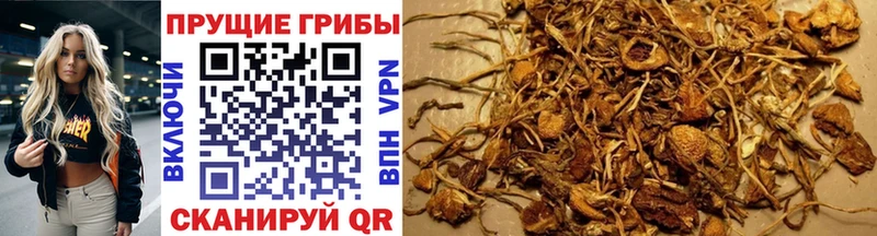 Галлюциногенные грибы Magic Shrooms shop как зайти Бологое гидра