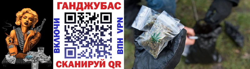 Канабис гибрид закладки Бологое